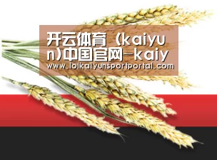 开云体育（kaiyun)中国官网-kaiyun登录入口