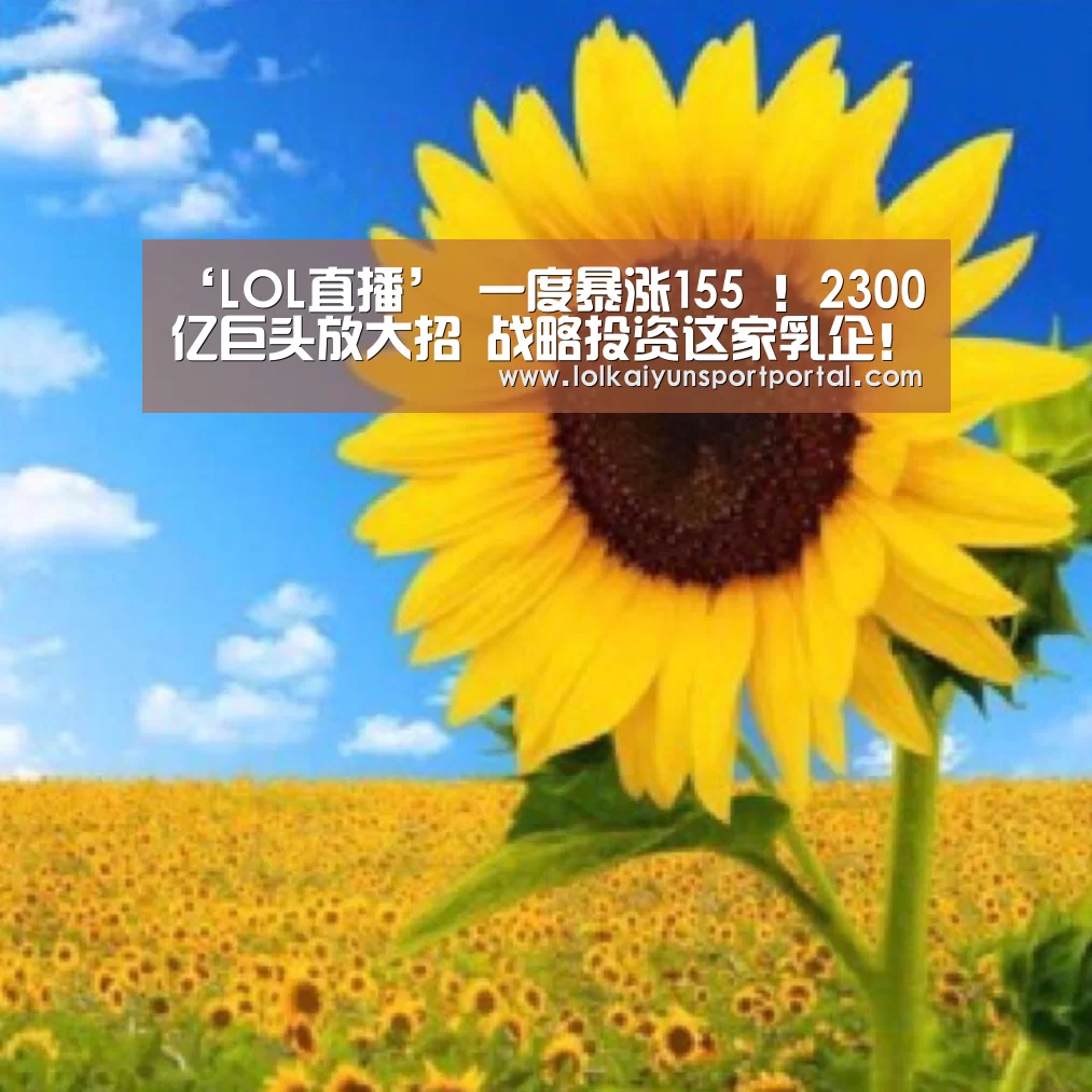 开云电竞