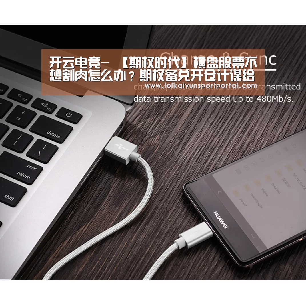 开云电竞官网