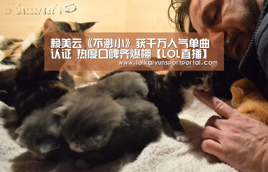 赖美云《不渺小》获千万人气单曲认证 热度口碑齐爆棚【LOL直播】(图2) 开云电竞