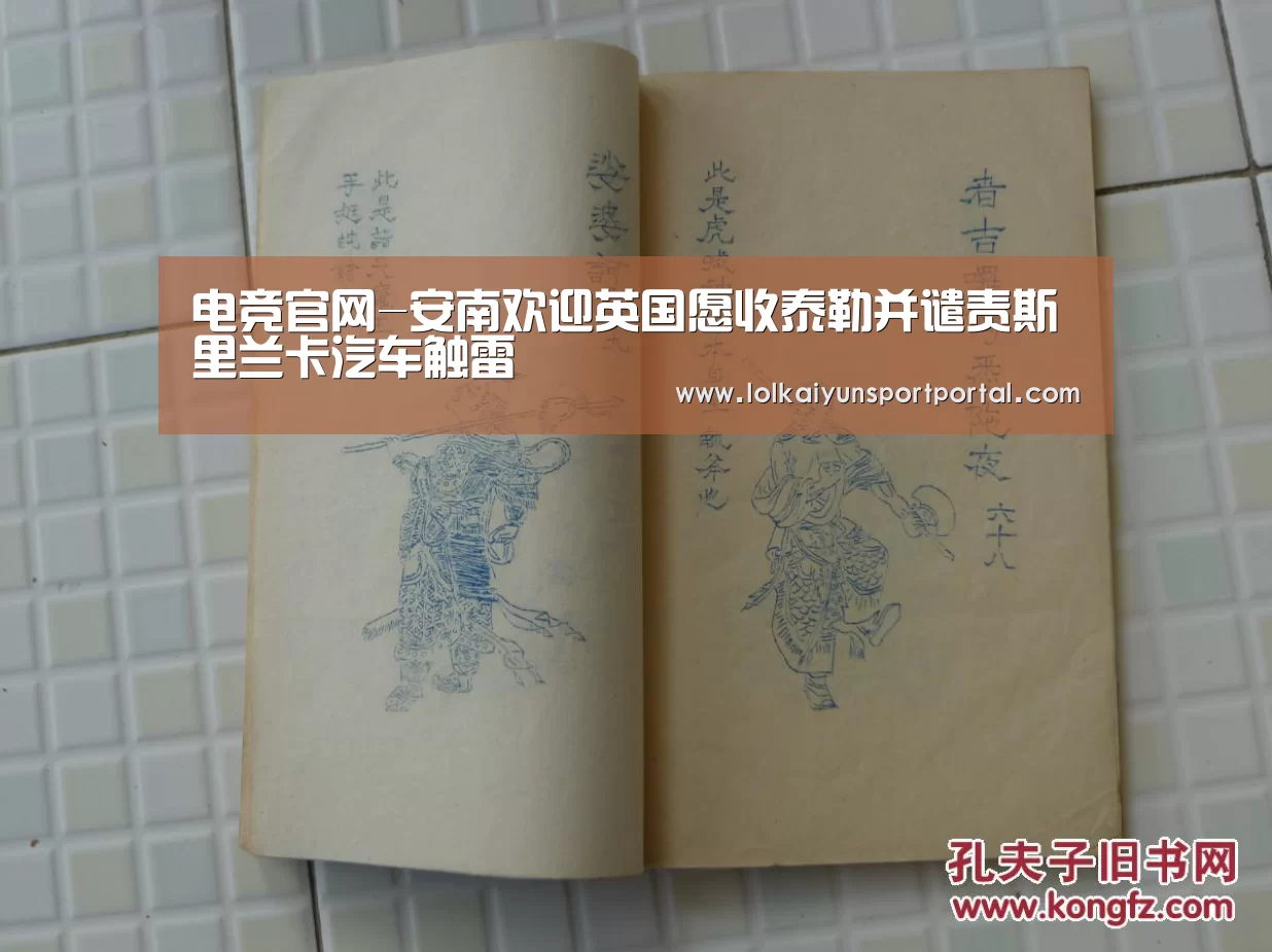 开云电竞